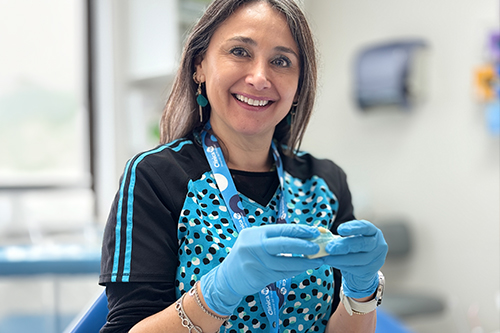 Equipo Odontológico