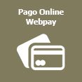 Pago Online webpay